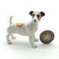 2 Jack Russell Terrier
