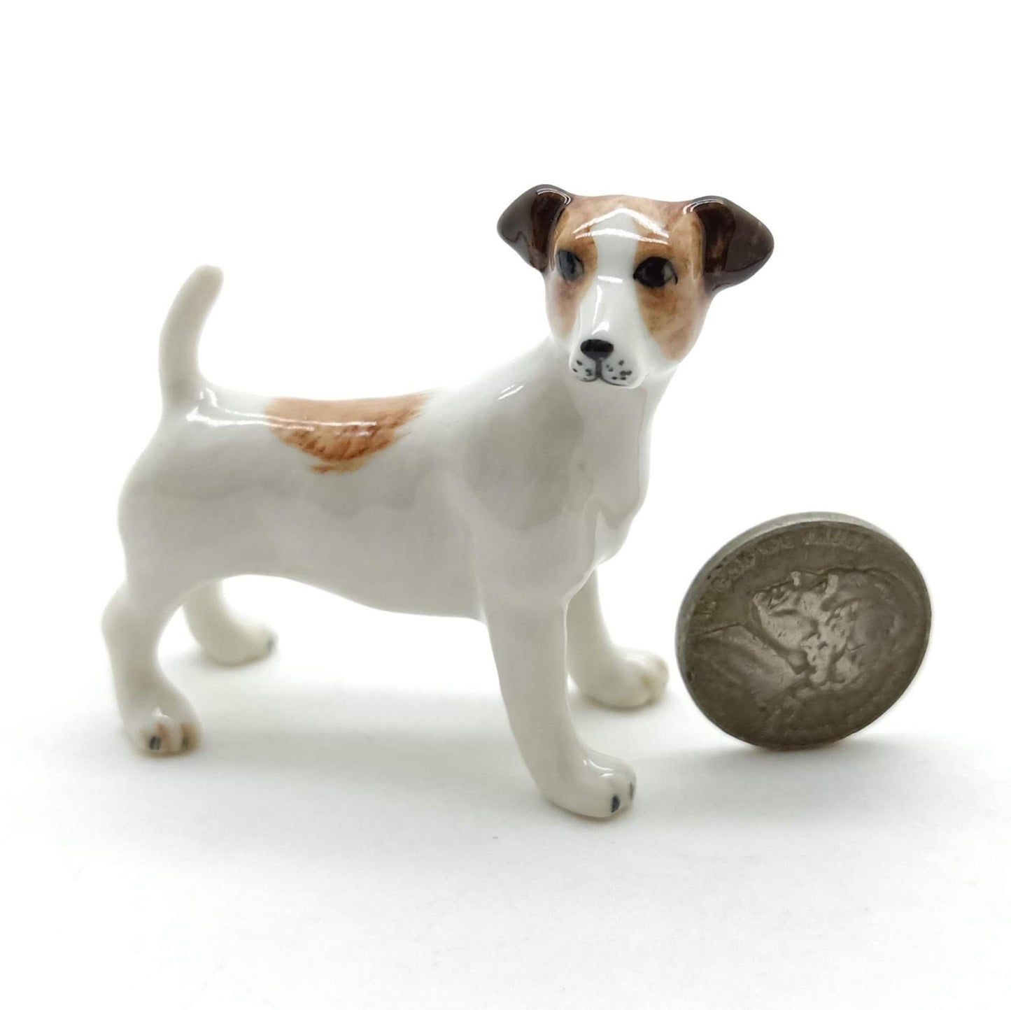 2 Jack Russell Terrier