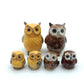 Owl Family