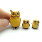 Owl Family