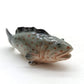 3 Grouper Fish Ceramic Figurines Miniature Statue