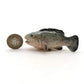 3 Grouper Fish Ceramic Figurines Miniature Statue