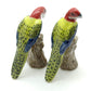 Set of 2 Macaw Parrot Bird Ceramic Figurine Statue