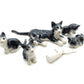 5 Tabby Kitten Cats with Milk Bottle