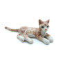 5 Tabby Kitten Cats with Milk Bottle