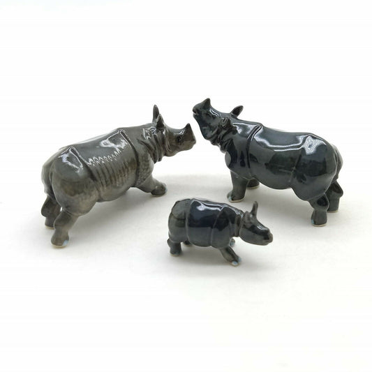 Rhino Family