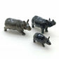 Rhino Family