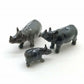 Rhino Family