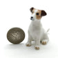 2 Jack Russell Terrier