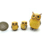 Owl Family