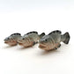 3 Grouper Fish Ceramic Figurines Miniature Statue