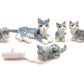 5 Tabby Kitten Cats with Milk Bottle