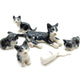 5 Tabby Kitten Cats with Milk Bottle