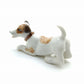2 Jack Russell Terrier Dogs