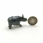 Rhino Family