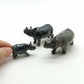 Rhino Family