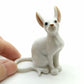 Sphynx Cats