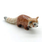 3 Red panda Bear Ailurus Fulgen