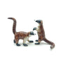 2 Coatimundi Red Raccoons
