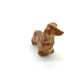 Long Haired Dachshund Dogs