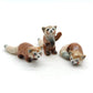 3 Red panda Bear Ailurus Fulgen