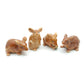 4 Mice Rats