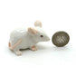 4 Mice Rats