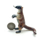 2 Coatimundi Red Raccoons