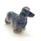 Long Haired Dachshund Dogs