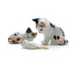 2 Calico Black and Orange on White Fur Cats with White Rat