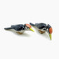 2 Woodpecker Birds