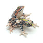 2 Brown Forest Mating Frogs
