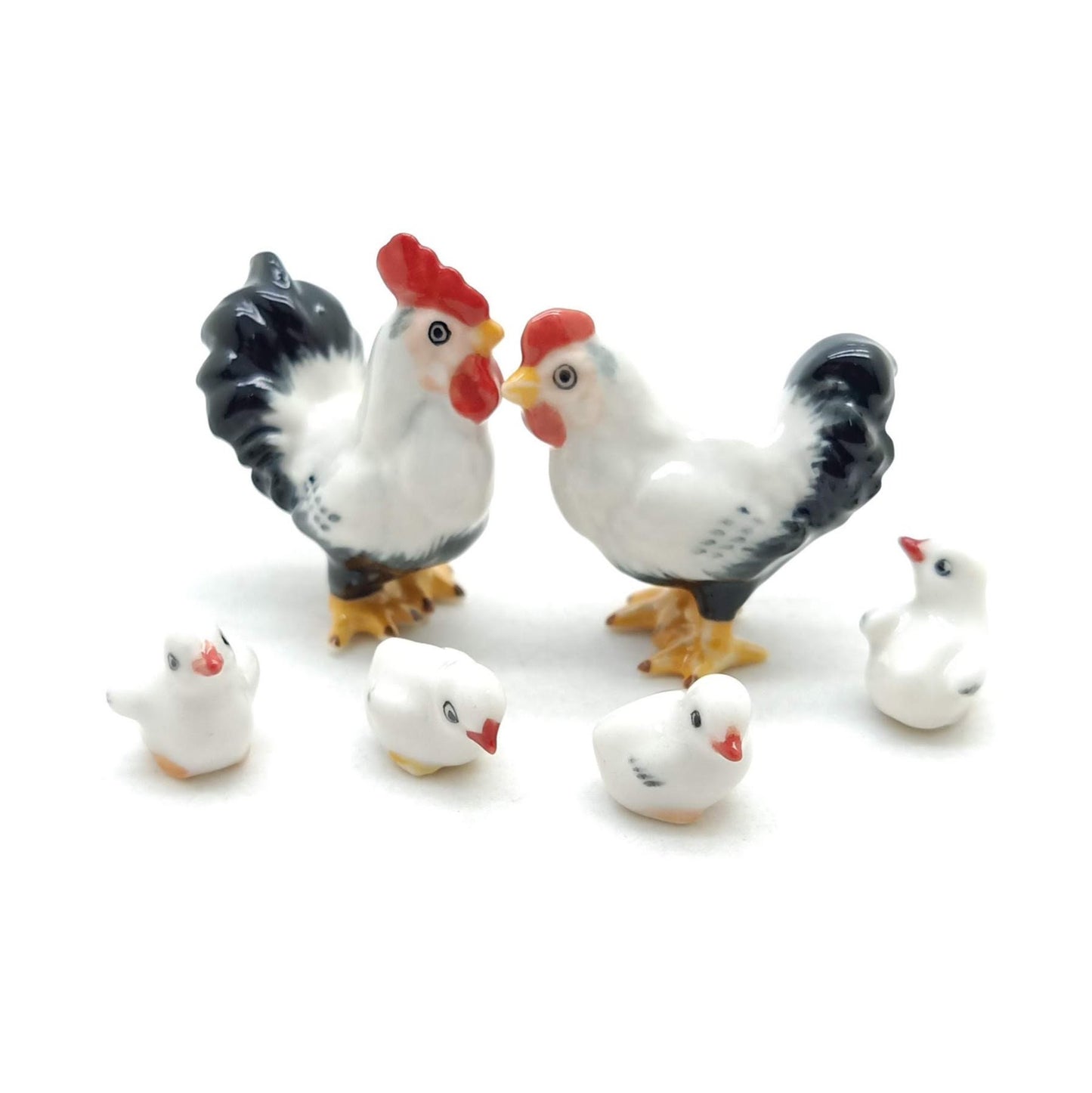 White Cock Rooster