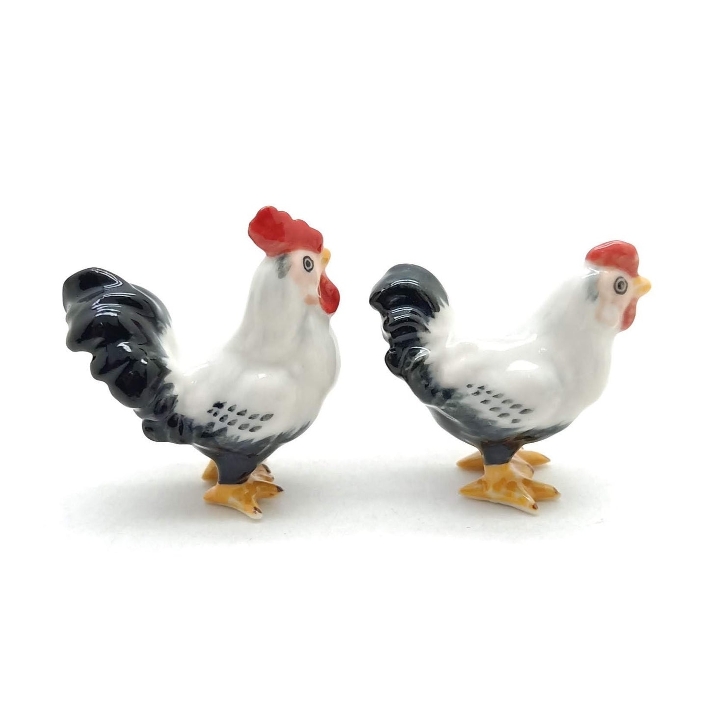 White Cock Rooster