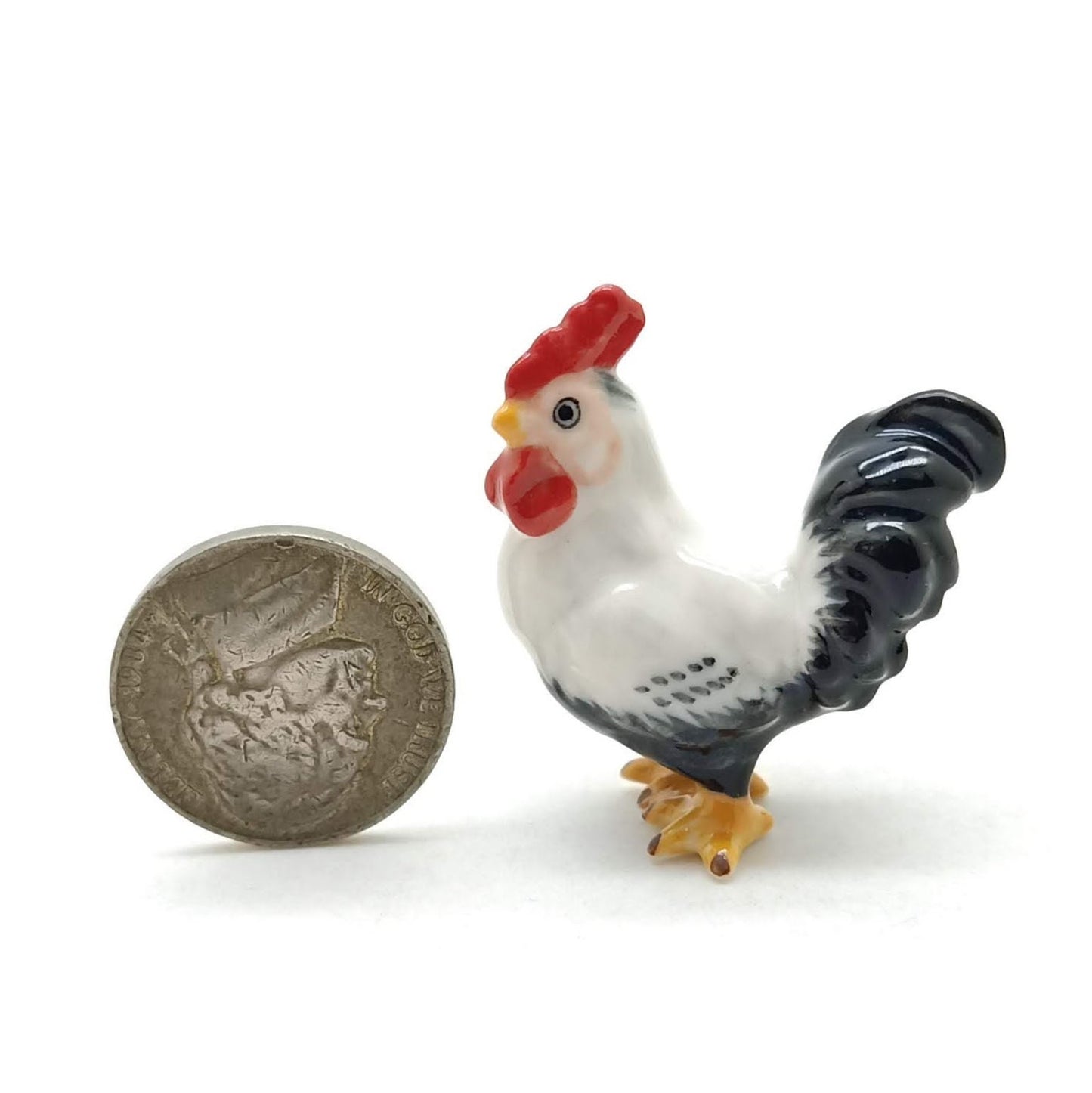 White Cock Rooster