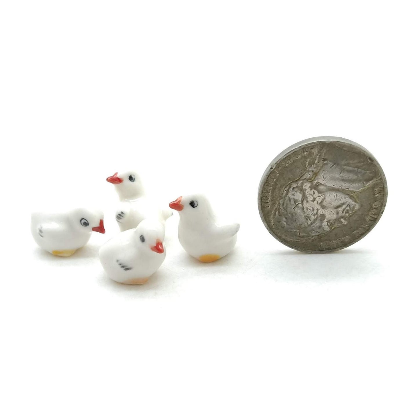 White Cock Rooster