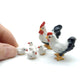 White Cock Rooster