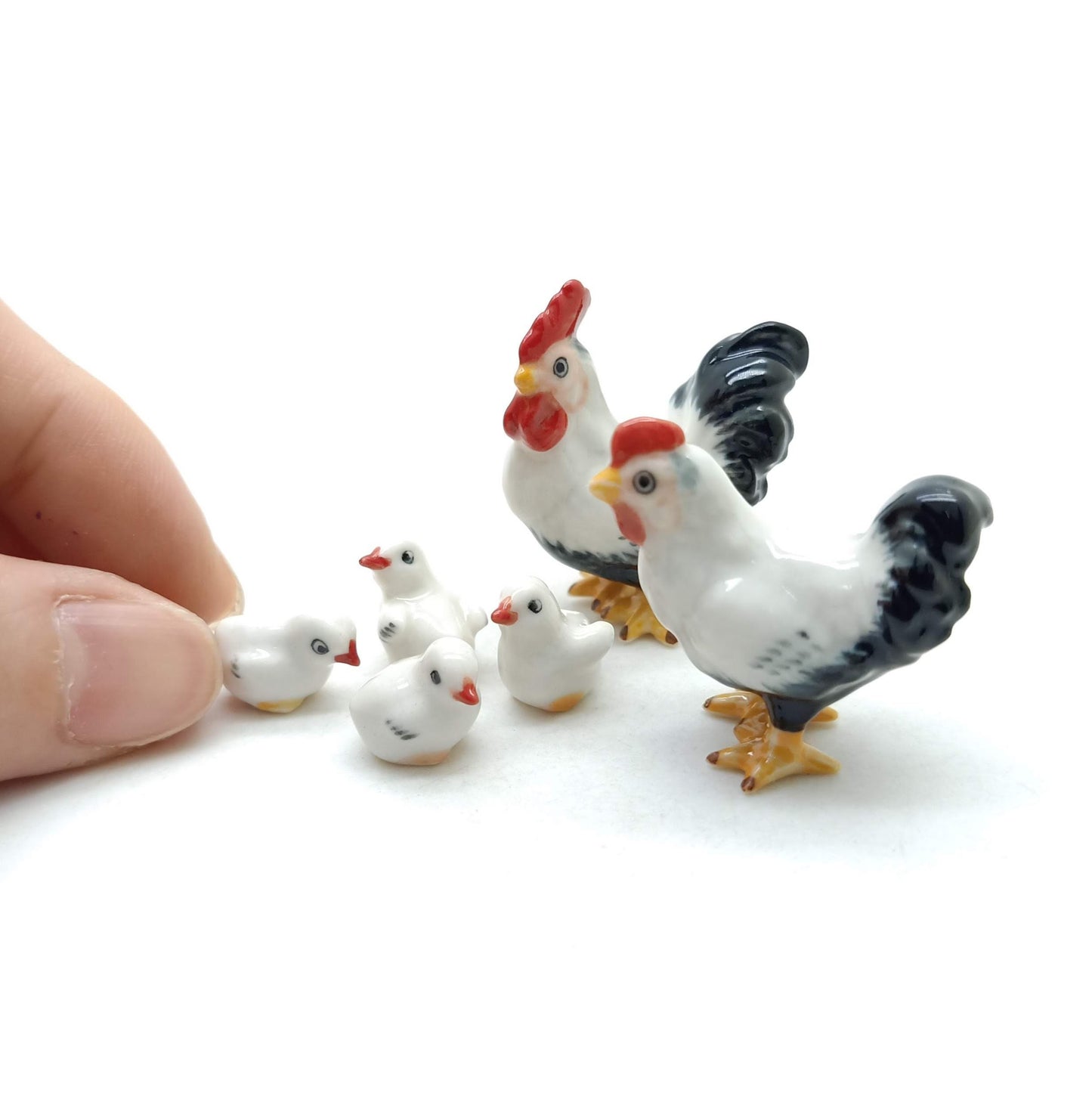 White Cock Rooster