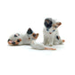 2 Calico Black and Orange on White Fur Cats with White Rat