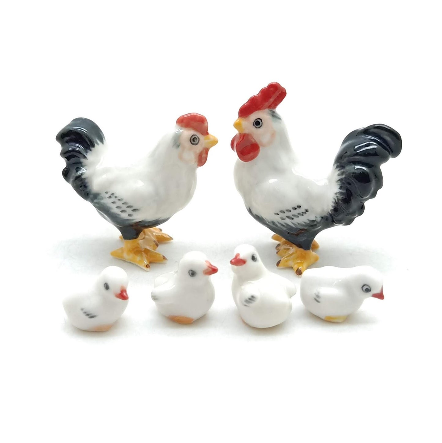 White Cock Rooster