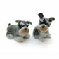 Schnauzer Family