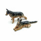 2 German Shepherd Dogs