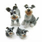 Schnauzer Family