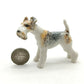 Wire Fox Terrier