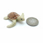 4 Sea Baby Turtles