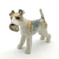 Wire Fox Terrier
