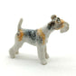 Wire Fox Terrier