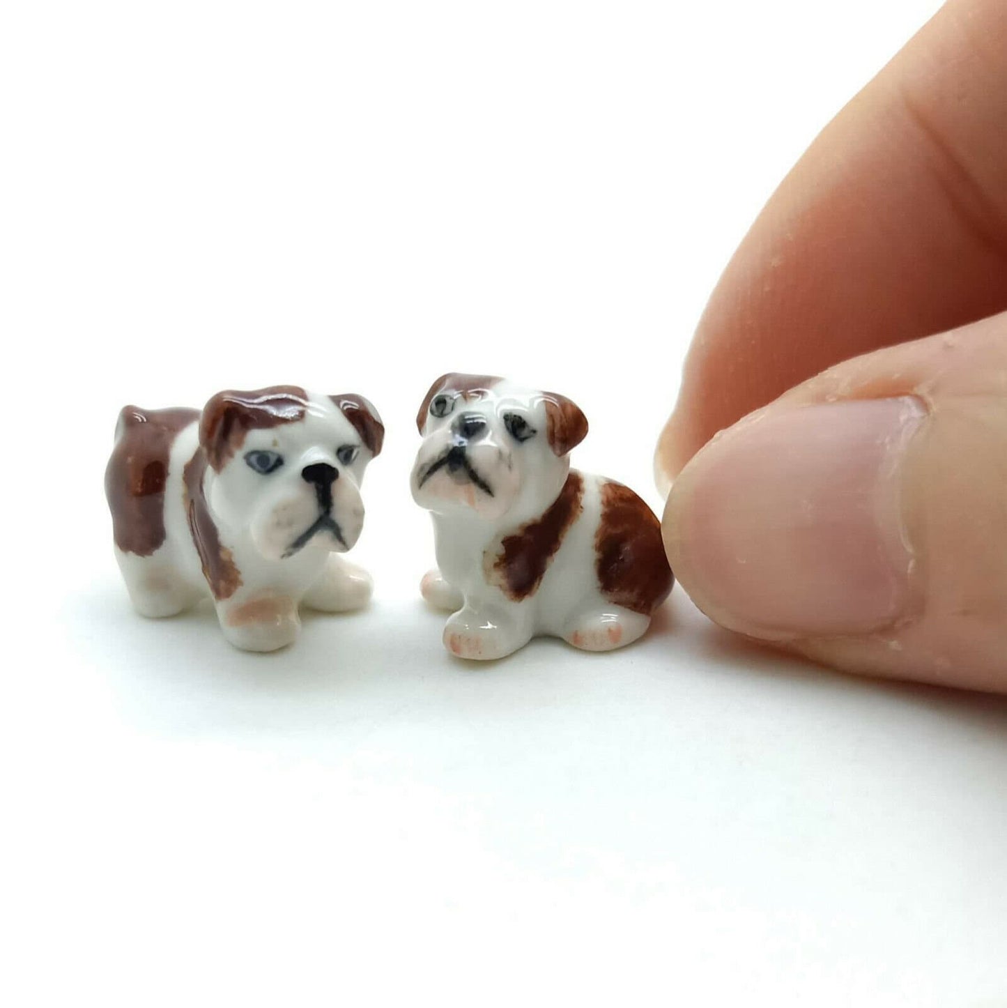 2 Tiny Bulldog