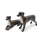 2 Greyhound Dogs