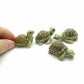 Set of 4 Turtles